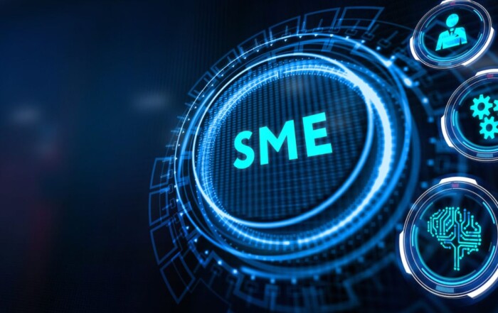 How Business Consultancy Services Add Value for SMEs