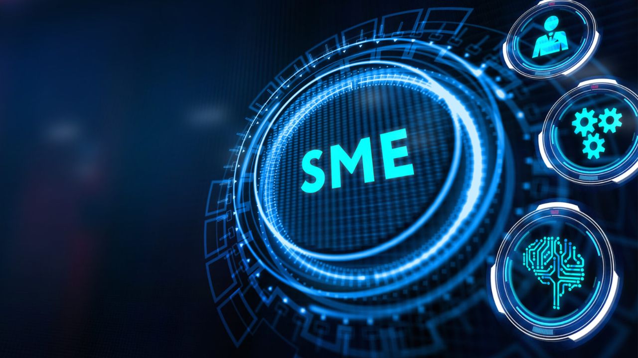 How Business Consultancy Services Add Value for SMEs