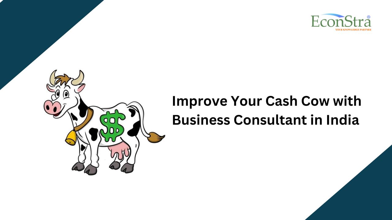 Improve Your Cash Cow with a Business Consultant in India