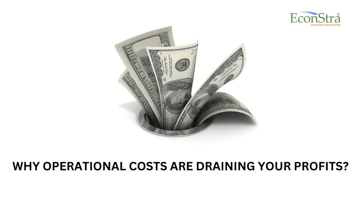 Why Operational Costs Are Draining Your Profits? | 2024