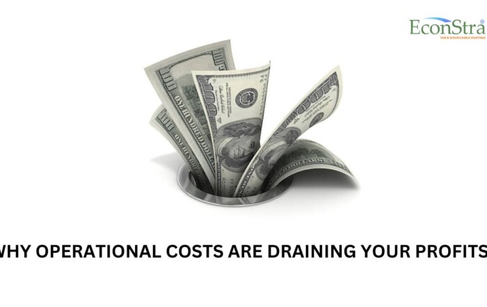 Why Operational Costs Are Draining Your Profits