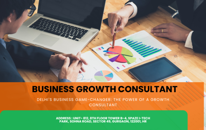 Business Growth Consultant