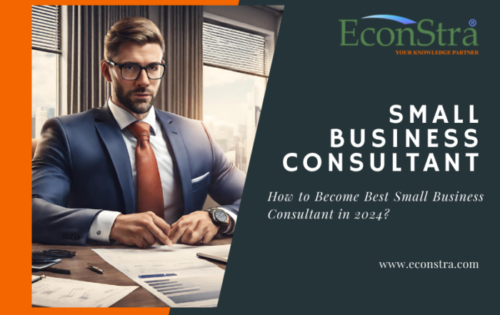 small business consultant