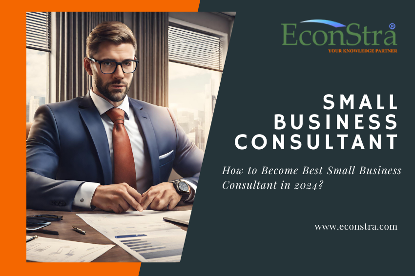 small business consultant