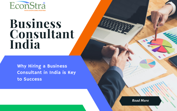 Business Consultant in India