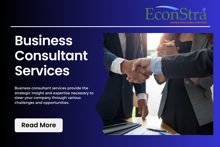 business consultant